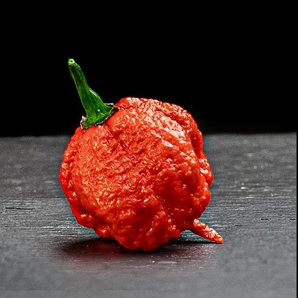 Кароліна Ріпер (Carolina Reaper)