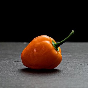 Хабанеро Помаранчевий (Habanero Orange)