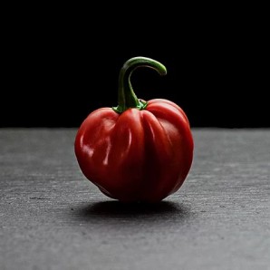 Хабанеро Червоний (Habanero Red)