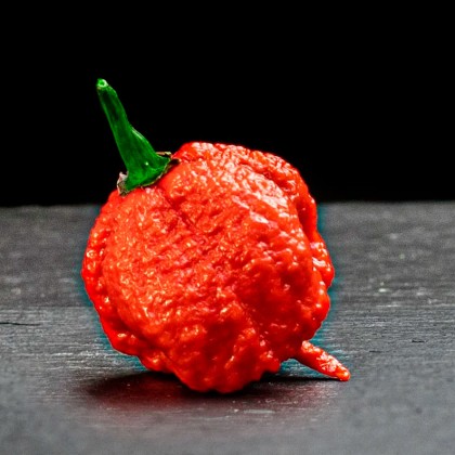 Насіння перцю Кароліна Ріпер (Carolina Reaper) червоний (red)