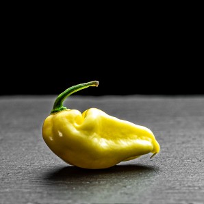 Нага Білий (White naga)