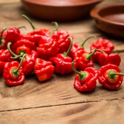 Насіння перцю Шотландський капелюх (Scotch Bonnet)