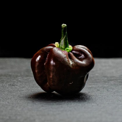 Насіння перцю Хабанеро (Habanero) шоколадний (chocolate)