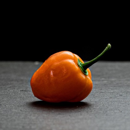 Насіння перцю Хабанеро (Habanero) помаранчевий (orange)