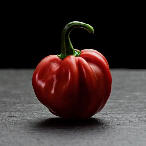 Насіння перцю Хабанеро (Habanero) червоний (red)