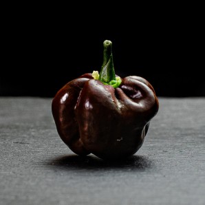 Насіння перцю Хабанеро (Habanero) шоколадний (chocolate)