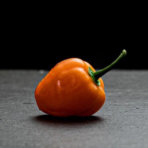 Насіння перцю Хабанеро (Habanero) помаранчевий (orange)