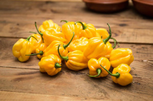 Насіння перцю Хабанеро (Habanero) жовтий (yellow)